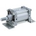 Air Cylinder CS2/CDS2